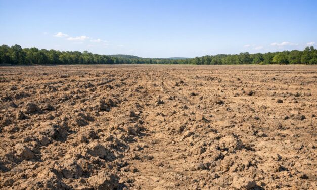 Crater of Diamonds: Dig Your Own in Arkansas